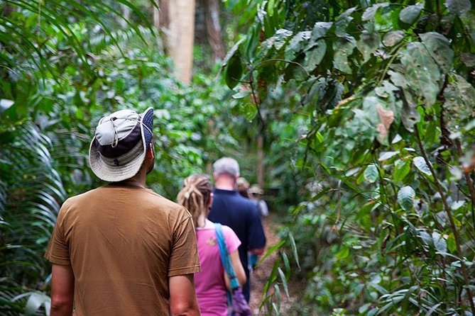 Explore North of Pemba Island (Flying Fox, Ngezi Forest and Vumawimbi Beach) - Frequently Asked Questions