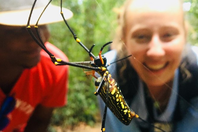 Explore Singharaja Forest Reserve (mirissa/weligama & Galle)