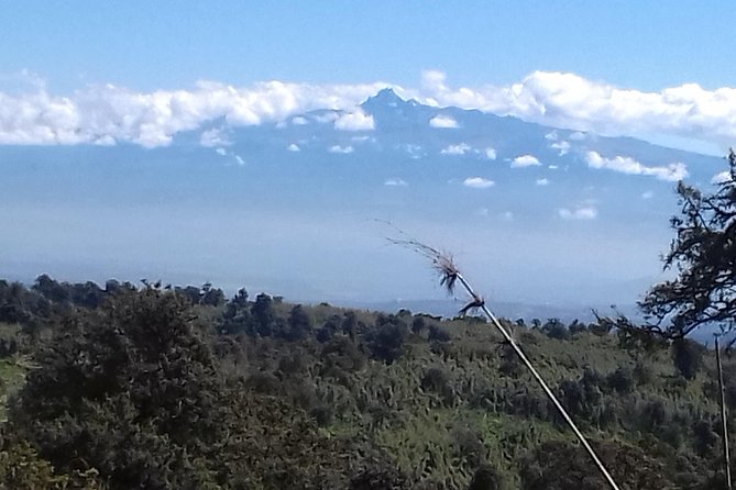 Explore the Jungle Aberdare National Park Queen Caves and More - Cancellation Policy