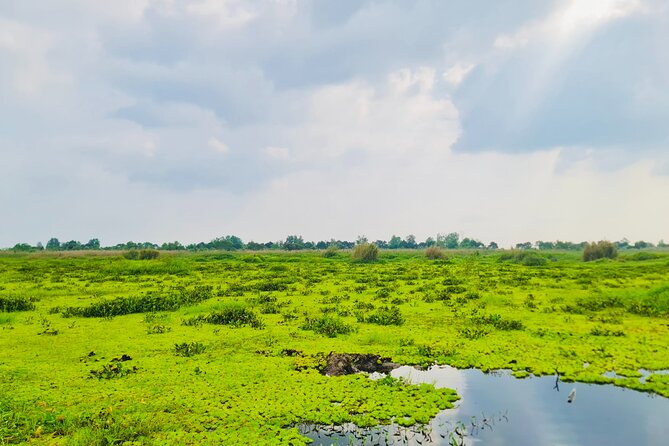 Explore U Minh Thuong Forests - Visitor Information