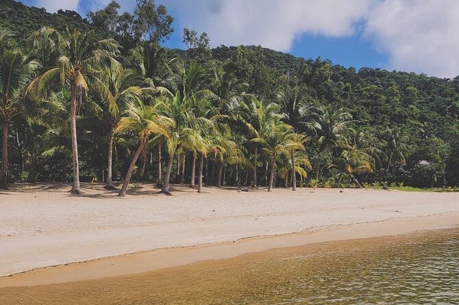 Exploring Cham Islands Day Tour by Speed Boat - Cancellation Policy