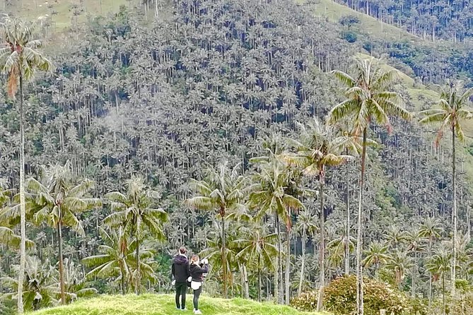 Exploring Machin Volcano - Daily Schedule and Availability