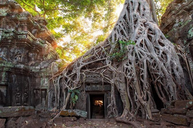 Express Angkor Wat Admission Ticket - Ticket Options