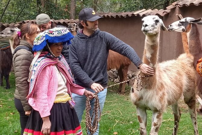 Family Trek With Llamas (Full Day) - Location: Cusco, Peru