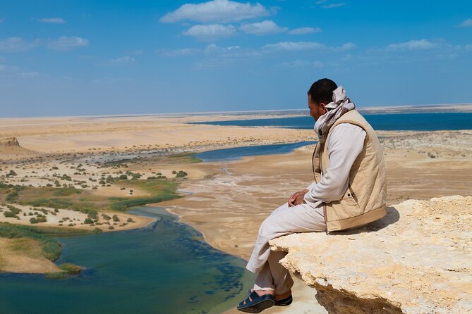 Fayoum Oasis Adventure 4WD Desert Safari With Traditional Lunch - Pricing Information