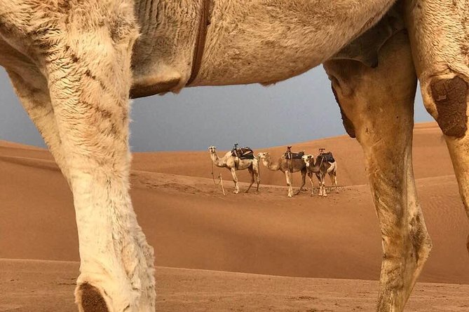 Fes to Fes 2 Days Private Desert Tour - Pricing Information