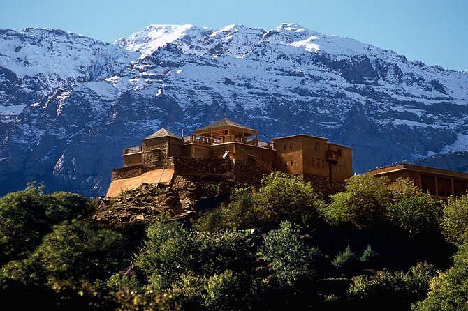 Fez Middle Atlas Day Trip - Health and Safety Guidelines