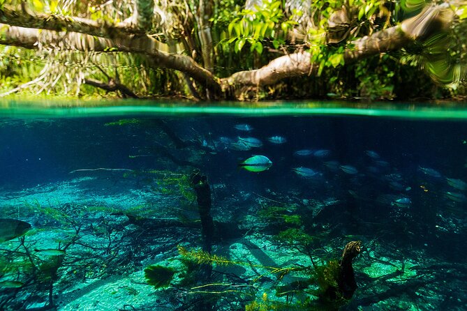Floating at Sucuri River - Cancellation Policy