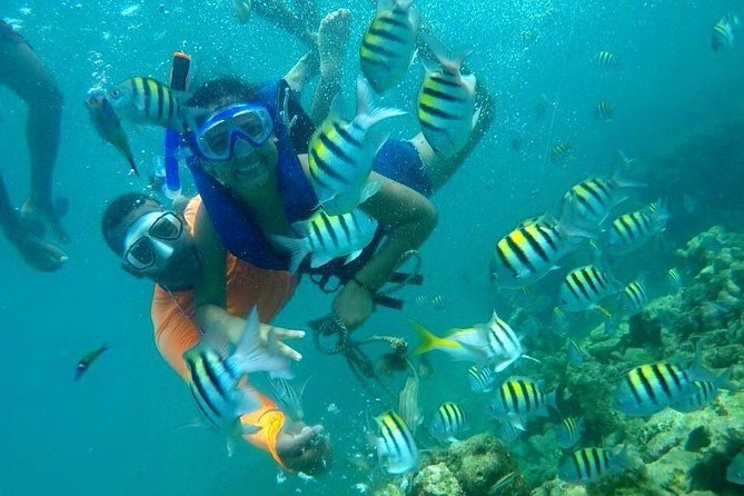 Four Islands Experience Isla Baru - Location and Directions