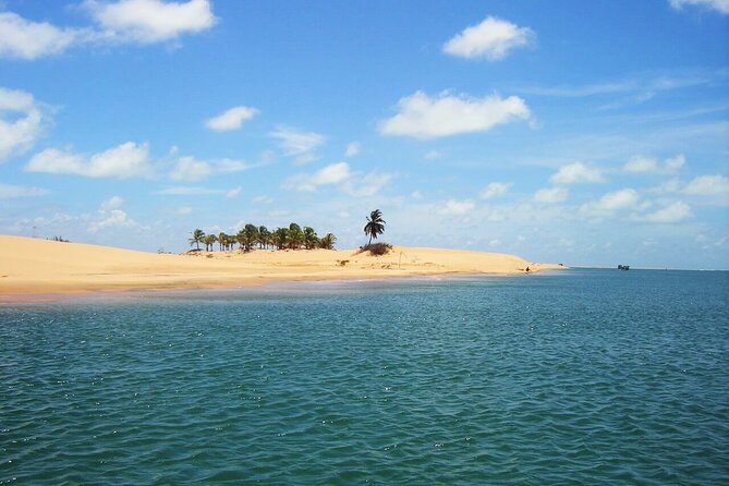 Foz Do Rio São Francisco Tour From Maceió - Tour Logistics and Pricing