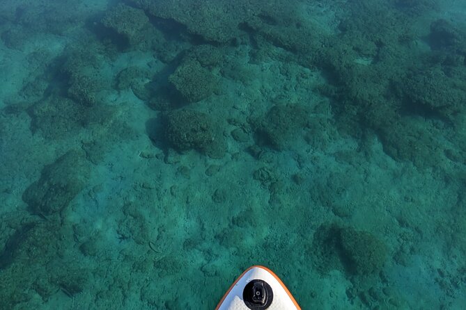 Freediving in Costa Rica - Cancellation Policy and Guarantee