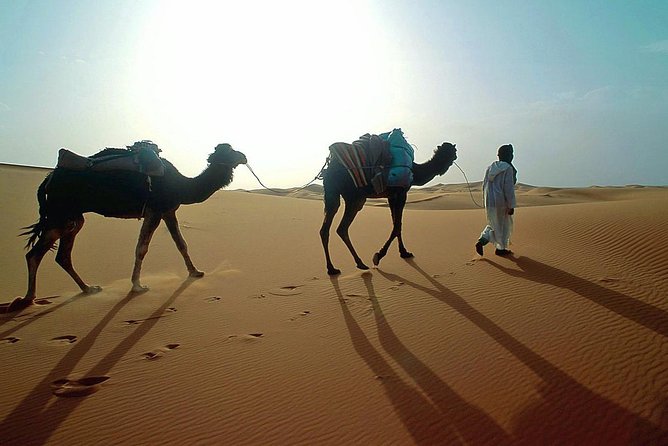 From Agadir/Agdz/Merzuga/Boumalne/Marrakesh/Essaouira/Agadir - Cancellation and Refund Policy