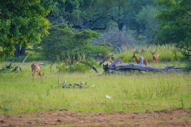 From Arusha: Day Tour in Arusha National Park - Additional Tips for Travelers