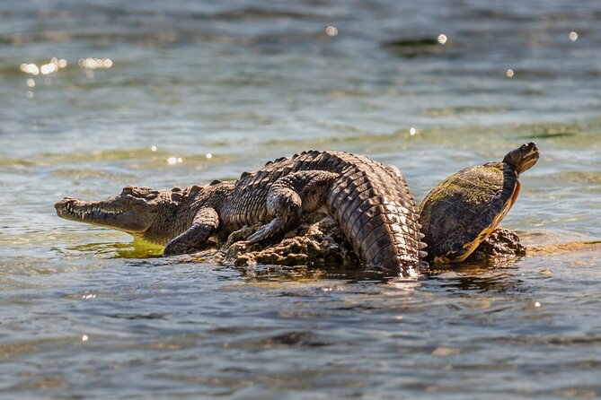 From Atlantic to Pacific Ocean Private Panama Canal & Jungle Tour - Customer Review