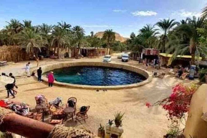 From Cairo to Siwa 2 Days One Night - Activity Information