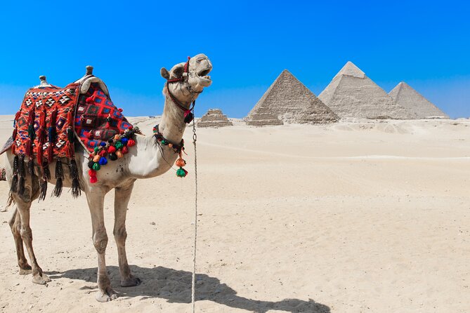 From Hurghada to Pyramids of Giza, Egyptian Museum, Lunch & Guide - Pickup Details