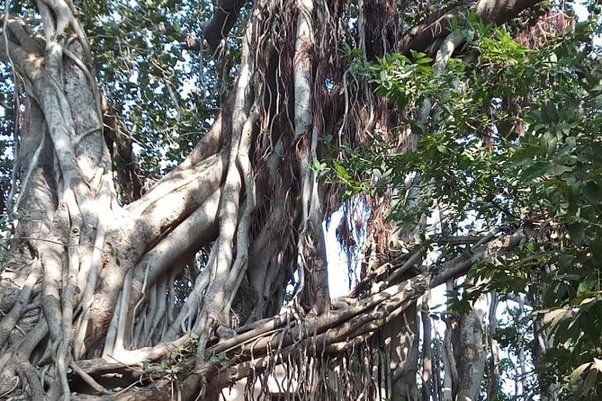 From Jaipur: Ranthambore Tiger Safari One Day Trip - Frequently Asked Questions