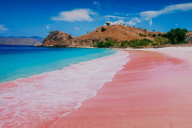 From Lombok: Fantastic Adventure Boat Trip to Komodo Island - Scenic Stops and Sightseeing