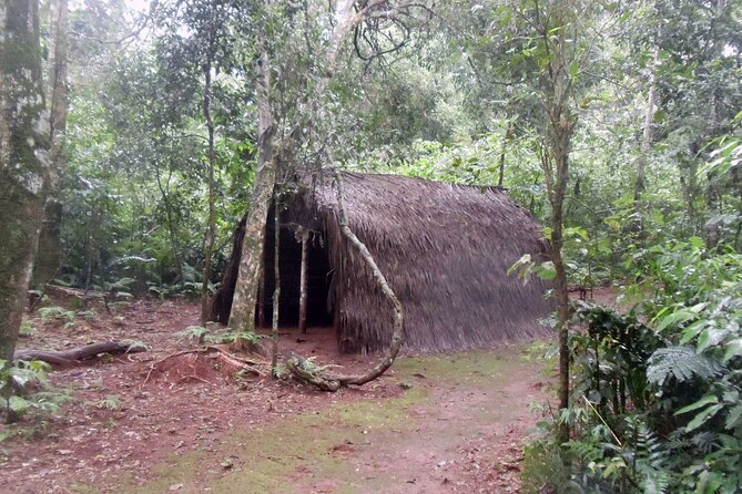 From Puerto Iguazu: Guarani Village Tour With Brunch - Meeting Point Details