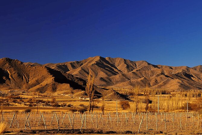 From Salta: Two-Full-Day Tours of Cachi and Humahuaca - Transportation Details