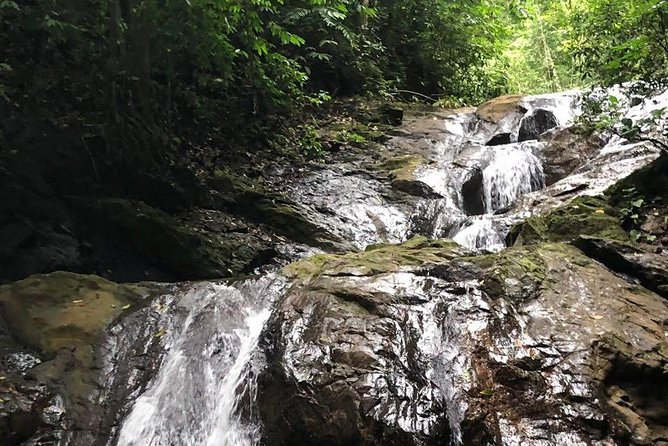From San Jose The Nature Explorer - Optional Services Available