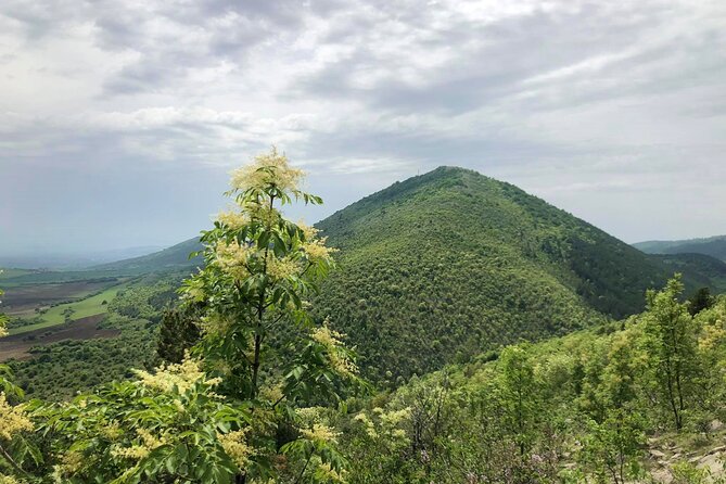 From Sofia: Lyubash Mountain Trail - The Sum Up