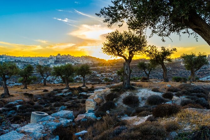 From Tel Aviv: Bethlehem & Church of the Nativity Full Day Tour - Tour Itinerary