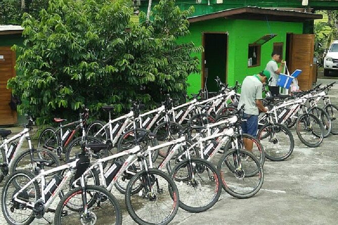 From Ubud Electric Bike Bali Countryside Ubud Tegalalang - Countryside Exploration