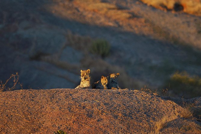 From Udaipur Bera Leopards Liar & Safari - Pick-Up Information