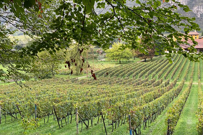 From Verona: Modena Food & Wine Full Day Trip With Ferrari Museum - Visit to Ferrari Museum