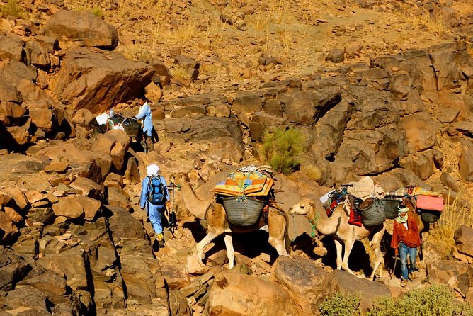 From Zagora: 6 Days Private Camel Trekking to Mhamid Desert - Transportation Details