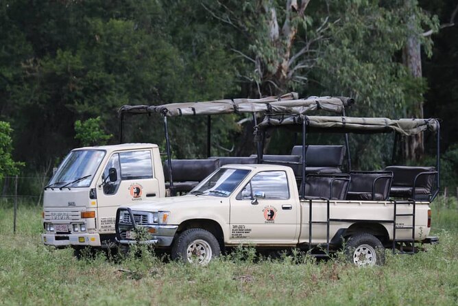 Full-Day Black Rhino Matobo Hills, Tracking and Historic Sites - Additional Information