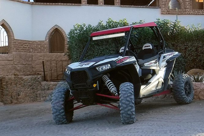 Full Day By Desert Buggy Car To Sahara Park & Dinner & Camel Ride - Hurgahda - Booking and Participation Details