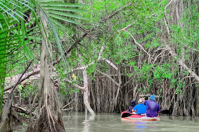 Full Day Canoe Boat Trip At Takuapa Little Amazon From Khao Lak - Important Details