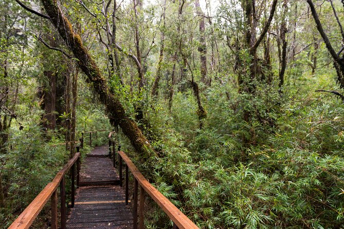 Full Day Chaihuin and Corral Coastal Route in Valdivia - Booking Information