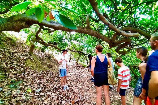 Full Day Citrus Farm, Old Town, Botanic & Boat Tour in Menton - Meeting Points