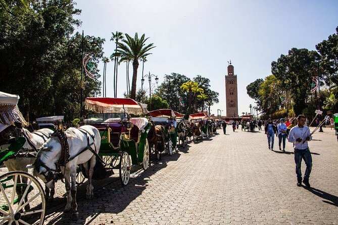 Full Day City Tour & Dinner With Show in Agafay - Directions