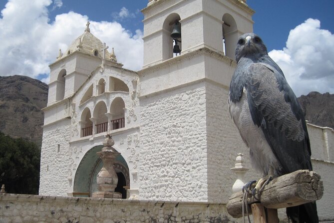 Full Day / Colca Canyon - Transportation and Pickup Options