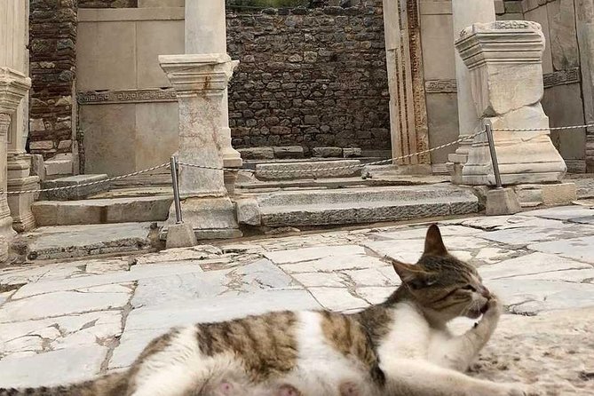 Full Day Ephesus & Temple of Artemis Tour From Izmir - Meeting Point Details