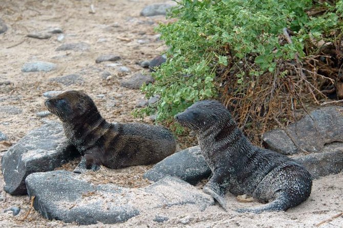 Full Day Española Island - Pricing and Cancellation Policy Details