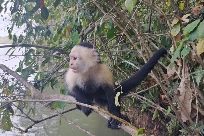 Full Day Excursion in Panama Private - Trip Highlights
