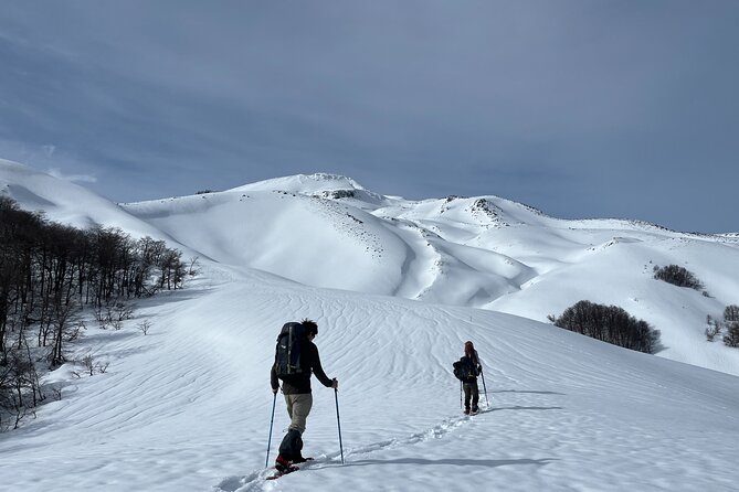Full Day Excursion Tour to Quetrupillán Volcano - Additional Info