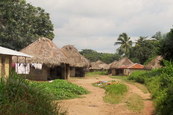 Full Day Exploration of Sapanca and Masukiye From Istanbul - What To Expect