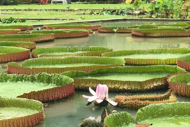 Full Day Flexi Private Tour in Penang Island With Pickup - Booking and Pricing Information