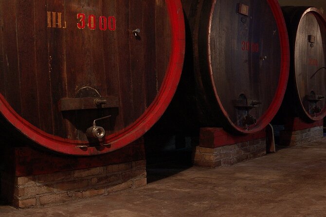 Full-Day Friuli Venezia Giulia Wine Private Tasting From Venice