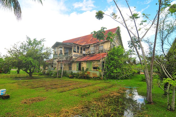 Full-Day Guided Commewijne Plantation Tour by Car - Inclusions Provided