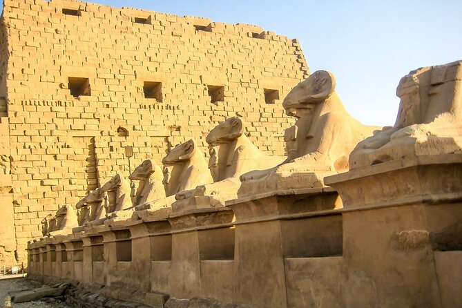 Full Day Guided Group Bus Tour To Luxor From El Gouna - Price and Payment Options