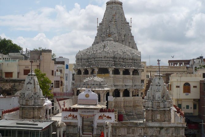 Full-Day Guided Private Tour of Udaipur City Monuments