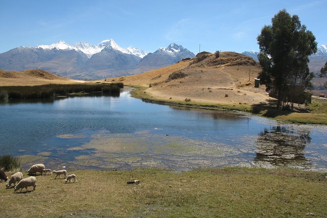 Full-Day Hike to Huilcaccoha Lake in the Cordillera Negra From Huaraz, Peru - Acclimatization Tips