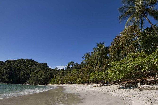 Full Day Hiking With Wild Life Watching at Manuel Antonio Park From San Jose - Directions